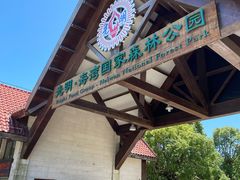 -上海海湾国家森林公园