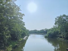 -上海海湾国家森林公园