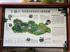 -西双版纳原始森林公园