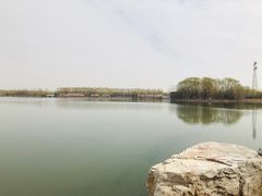 -大兴滨河森林公园