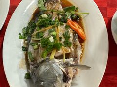 先鲜鲫鱼粥-先鲜鲫鱼粥