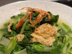 腐皮青菜-老头儿油爆虾(星光一期店)