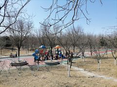 -大兴滨河森林公园