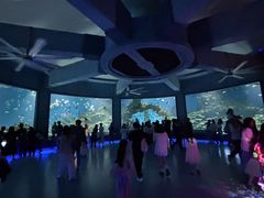 -海合安武汉极地海洋公园