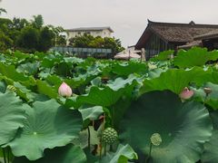 -莫催咖啡
