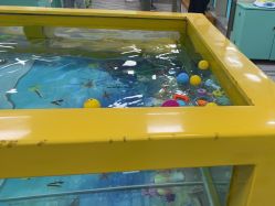 点击看大图 -贝尚儿童游泳游乐(万达广场店)