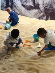 -恐龙探索乐园(磁器口店)