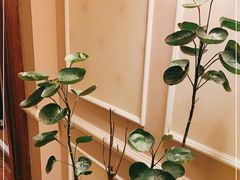 -利顺德大饭店·维多利亚花园(小白楼店)