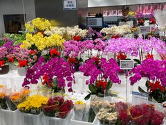 -盒马X会员店(王府井奥莱UP TOWN店)