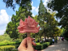 -音乐台