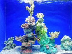 -乌鲁木齐海洋馆