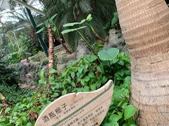 -龙达温泉生态城