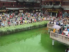 景观位-豫园湖心亭茶楼