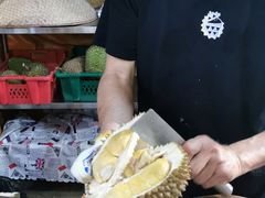 -榴莲BB 四季果园
