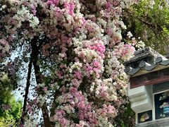 -深圳国际园林花卉博览园