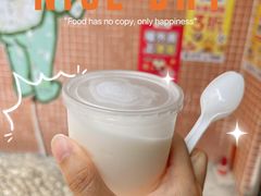 -洪馨椰子
