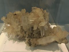 -金钉子远古世界景区