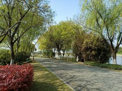 -梁鸿国家湿地公园