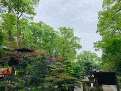 -南山植物园