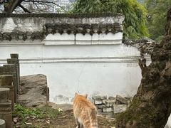 -阳明祠