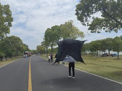-漕湖湿地公园