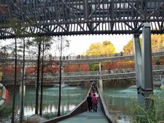 -梅峰山地公园