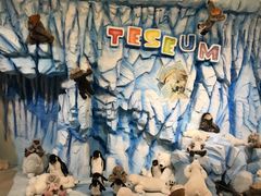 -济州岛泰迪熊博物馆