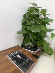 -天津伊美尔医疗整形美容专科医院