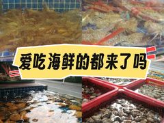 -西涌国际滨海旅游区