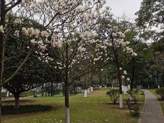 -重庆园博园