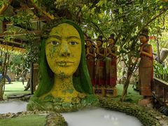 -呀路古热带植物园