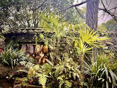 -青城甲(青城山店)