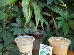 云南丛林茶椰拿铁-Seesaw Coffee(朝阳大悦城店)