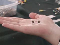 -金吉列留学·语培·小语种·国际课程(西安分公司)