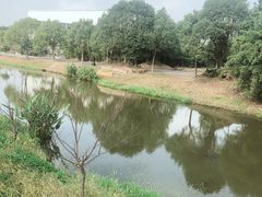 -上海多利农业发展有限公司