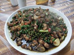 -铁山坪森林公园