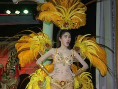 -金东尼人妖秀