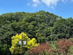 -广州市帽峰山景区