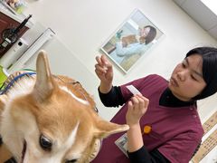 -美联众合动物医院·24h转诊中心