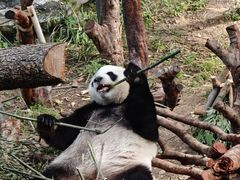 -小镇影院迪士尼小熊Duffy与他的朋友合影地