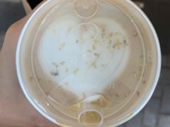 桂花乌龙拿铁-Manner Coffee(大宁国际商业广场店)