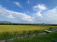 -光明小镇欢乐田园