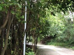 -西南交通大学(峨眉校区)