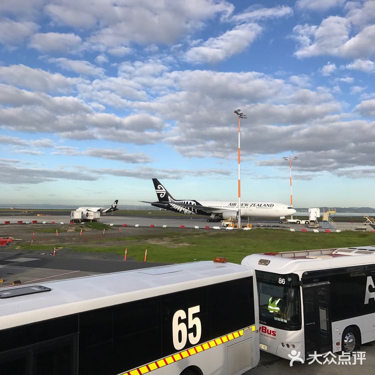奥克兰国际机场，简介位于新西兰的奥克兰市芒格雷市郊