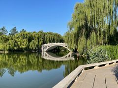 -济南大明湖景区