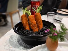 -丁老爷子苏香圆