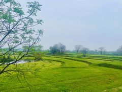 -盘龙城国家考古遗址公园