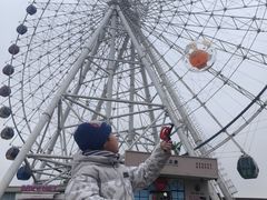 -琴岛之星摩天轮