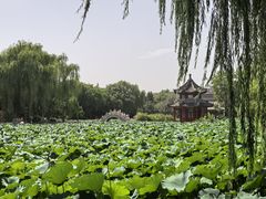 -莲池书院博物馆