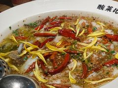 -太二酸菜鱼(正大广场店)